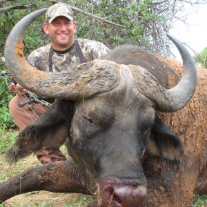 Bowhunting Nile Buffalo Uganda