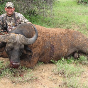 Bowhunting Nile Buffalo Uganda