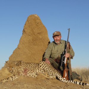 Hunting Cheetah in Namibia