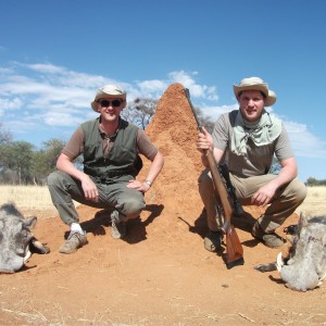 Hunting Warthog in Namibia