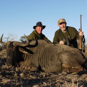 Hunting Blue Wildebeest in Namibia