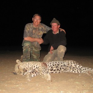 Hunting Leopard in Namibia