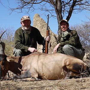 Hunting Red Hartebeest in Namibia