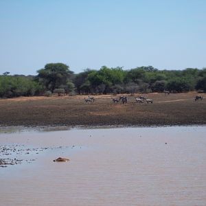 Hunting in Namibia