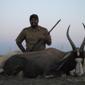 Hunting Blesbok in Namibia