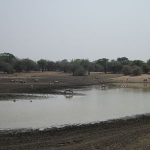 Hunting in Namibia