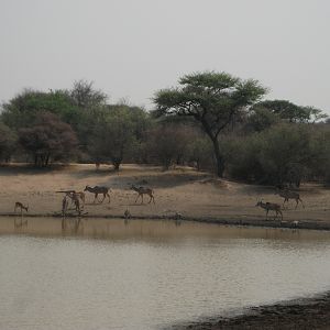 Hunting in Namibia