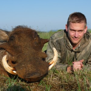 Hunting Warthog in South Africa