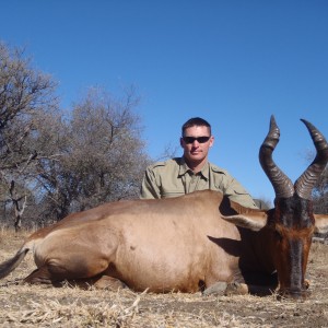 Hunting Red Hartebeest in Namibia