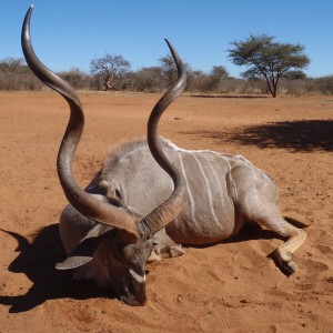 Hunting Greater Kudu in Namibia