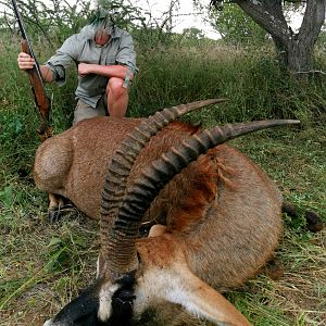 South Africa Hunting Roan