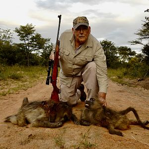 South Africa Hunt Baboon