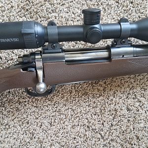 Remington 721 Rifle in 300 H&H