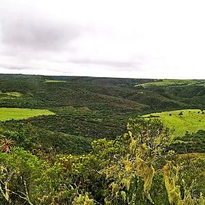 South Africa Hunt Area