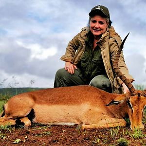 South Africa Hunt Impala