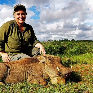 Hunting Warthog in South Africa