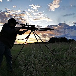 Shooting from a Shooting Stick