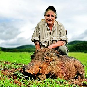 Hunting Warthog in South Africa