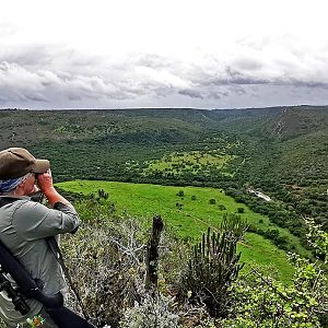 Glassing Game South Africa