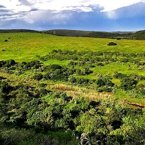 Hunting Area South Africa