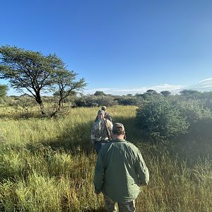 Hunt Lion in South Africa