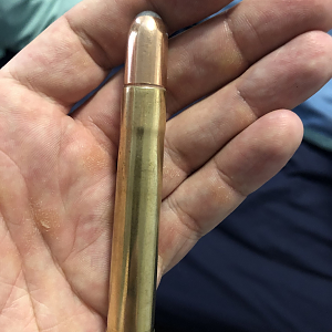 458 Lott Ammo