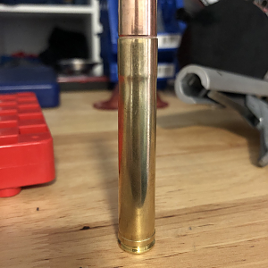 458 Lott Ammo