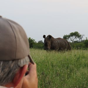 Rhino Game Viewing South Africa