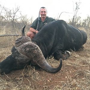 Cape Buffalo Hunt South Africa