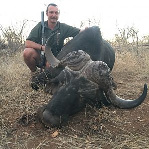 Hunt Cape Buffalo in South Africa