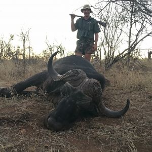 Hunting Buffalo in South Africa