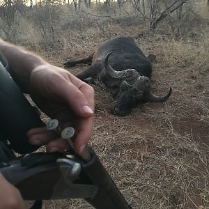 Hunting Buffalo in South Africa