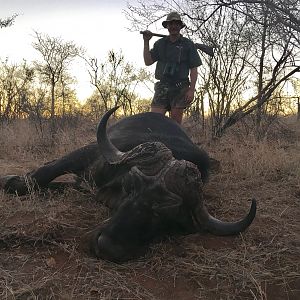 Buffalo Hunting South Africa