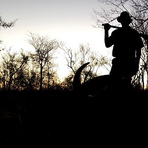 Hunting Cape Buffalo in South Africa