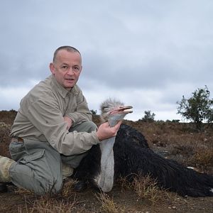 Hunt Ostrich in South Africa