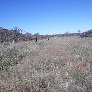 Hunting Area Namibia