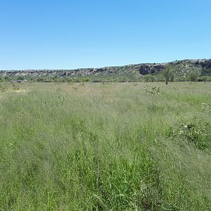 Hunting Area in Namibia