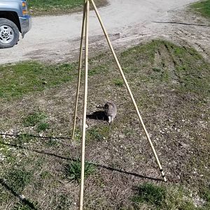 Homemade Shooting Sticks For Under US$20