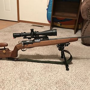 Ruger RSM Rifle