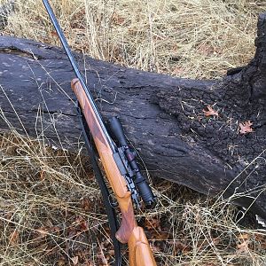 M1903 Springfiled Rifle