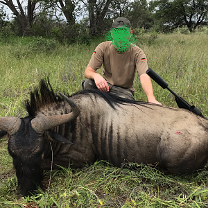 Blue Wildebeest Hunt Namibia