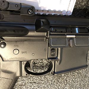 Ruger AR-556 Rifle