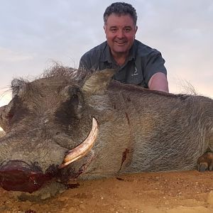 Hunting Warthog in South Africa