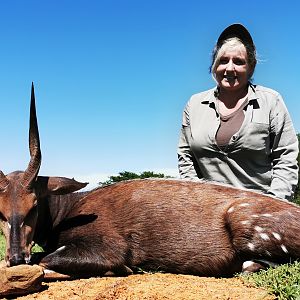 Bushbuck Hunt South Africa