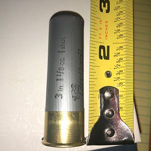 Shotgun Shell