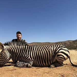 Hartmann’s Mountain Zebra Hunt Kaokoland Namibia