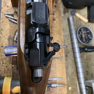 CZ 550 in 375 HH Rifle