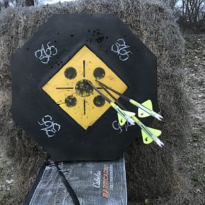 Bow Range Shots