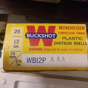 Shotgun Shells