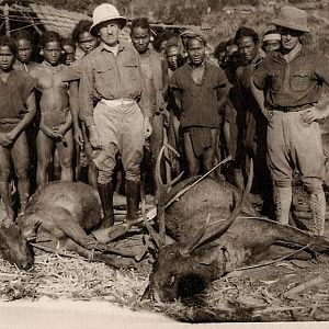 Hunting Sambar Deer in old French Indochina Vietnam